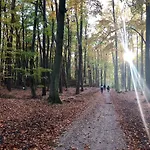 Ekskluzywny Wypoczynek W Domu Nad Morzem Villa *
