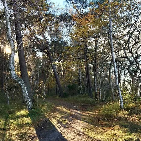 Villa Ekskluzywny Wypoczynek W Domu Nad Morzem *