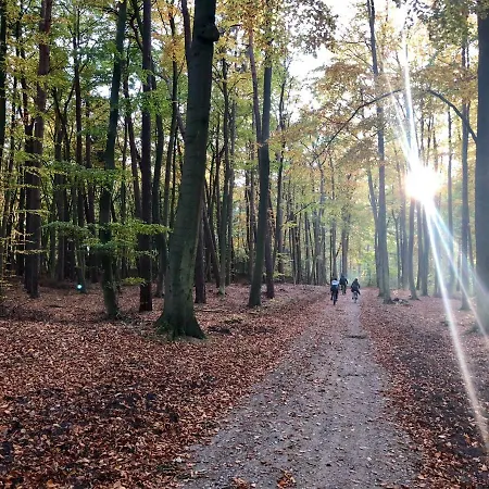 Ekskluzywny Wypoczynek W Domu Nad Morzem Villa *