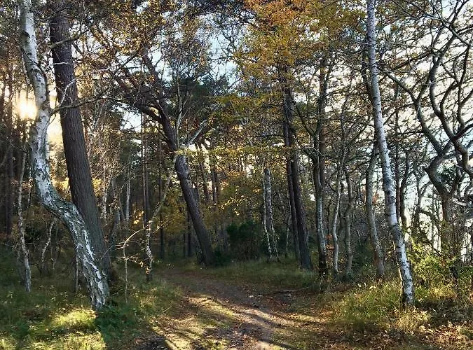 Villa Ekskluzywny Wypoczynek W Domu Nad Morzem *