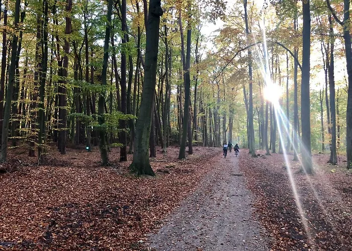 Ekskluzywny Wypoczynek W Domu Nad Morzem Willa *